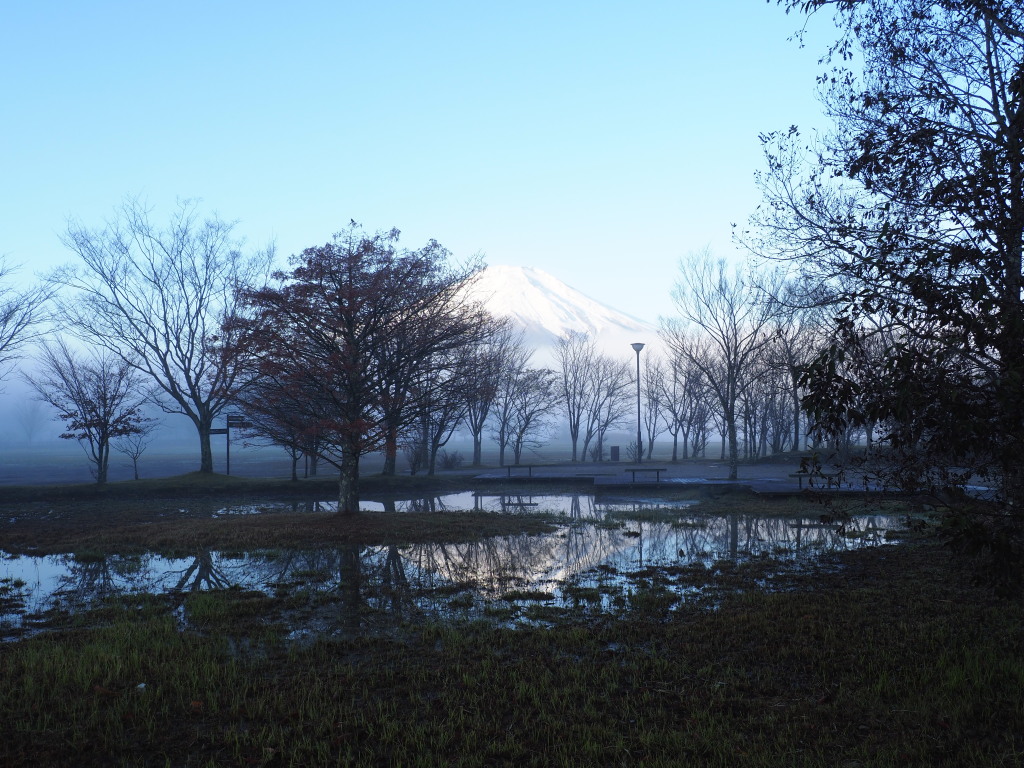 11/22 ���ԏꂩ��̕x�m�R