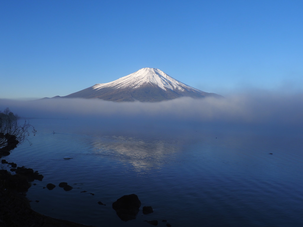 11/22 �_�C�Ƌt���x�m