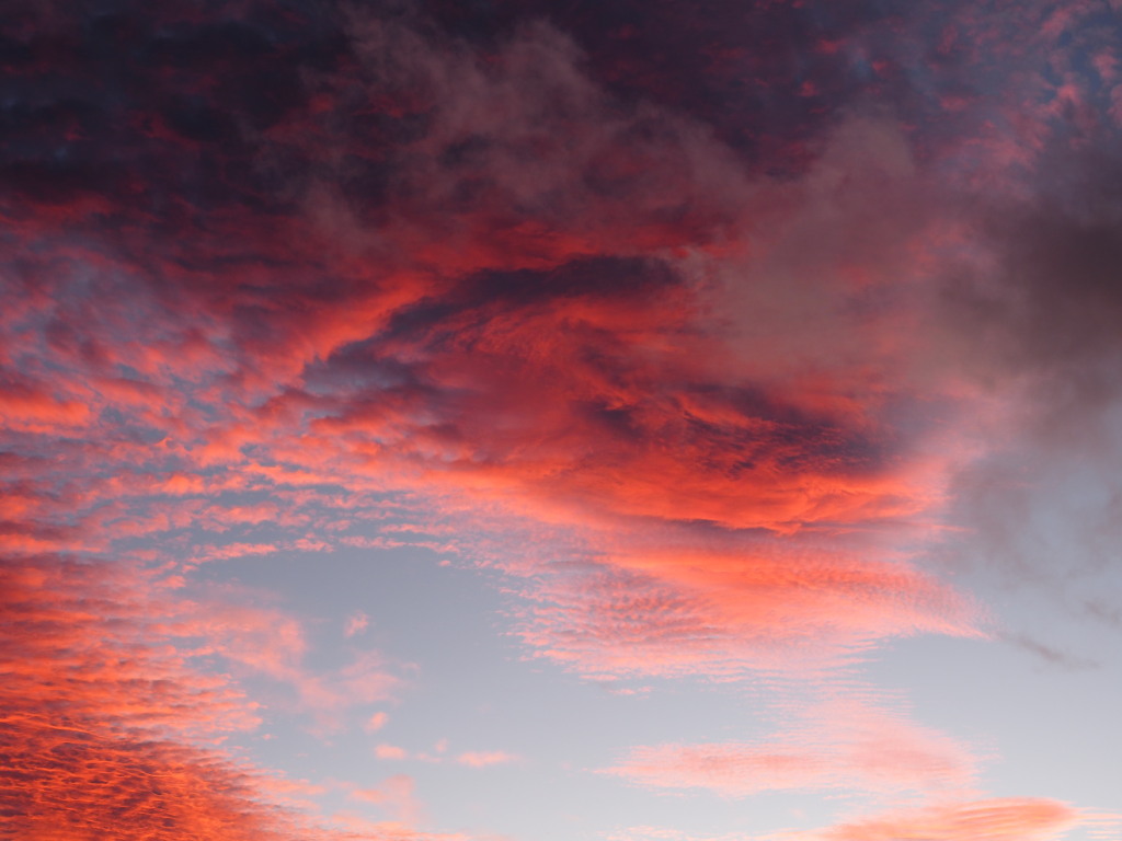 11/23 ���̋�