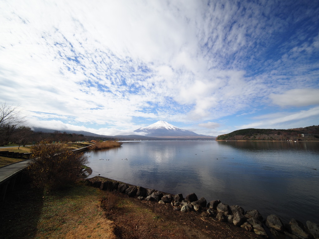 11/23 �؉_�ƕx�m�R(2)