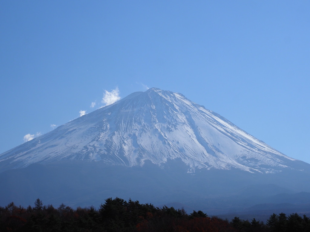 11/24 �򂩂�̕x�m�R