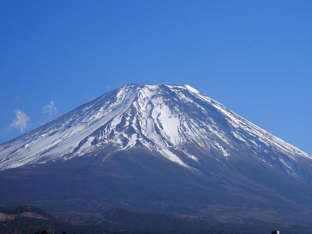 11/24 �x�m�P�䂩��̕x�m�R