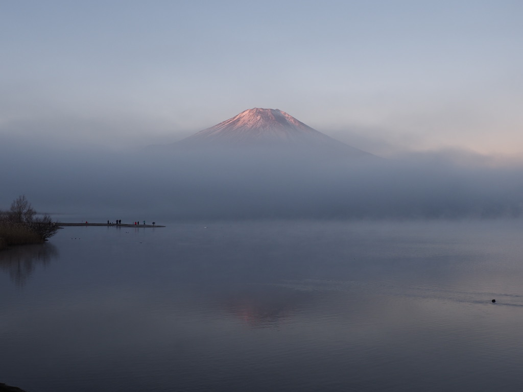 12/9 �_�C�̒��̕x�m�R