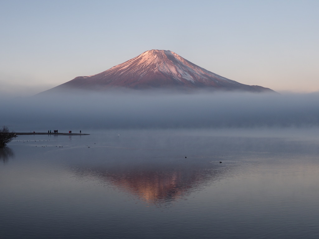 12/9 ���Ă��̋t���x�m