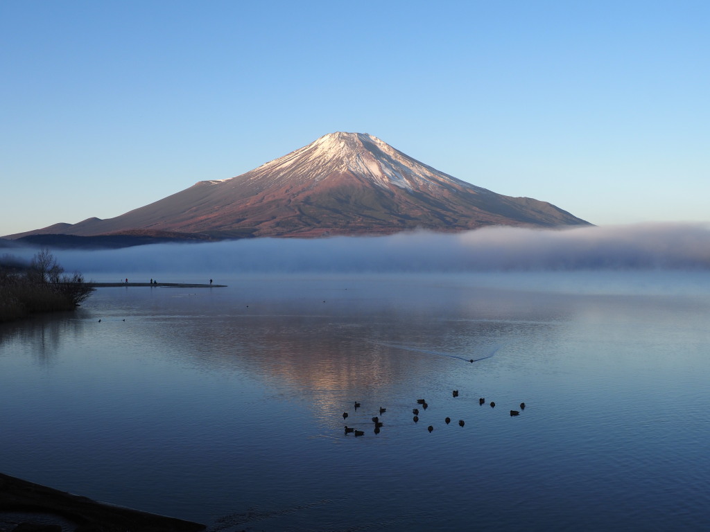 12/9 �t���x�m