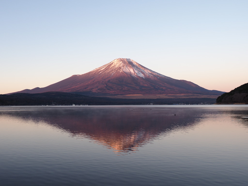 12/10 ���Ă��̋t���x�m