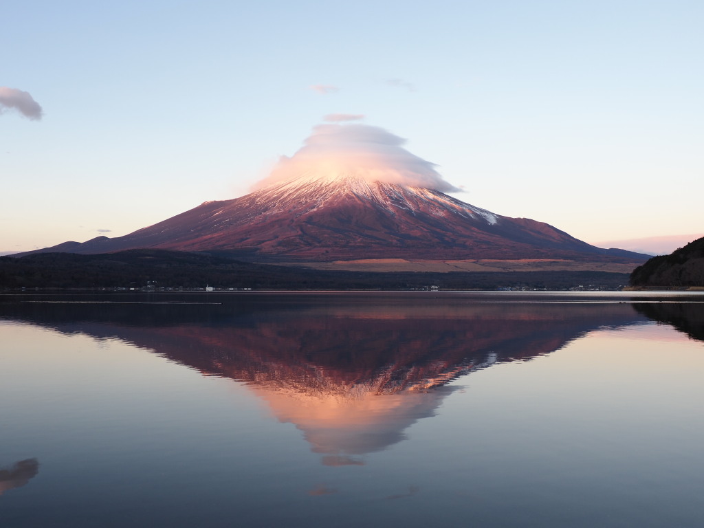 ���������}�_(Olympus �d-�M�P�U)