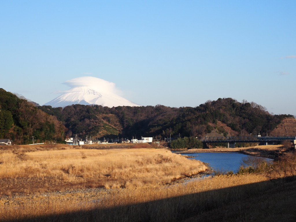 1/31 ����̕x�m�R