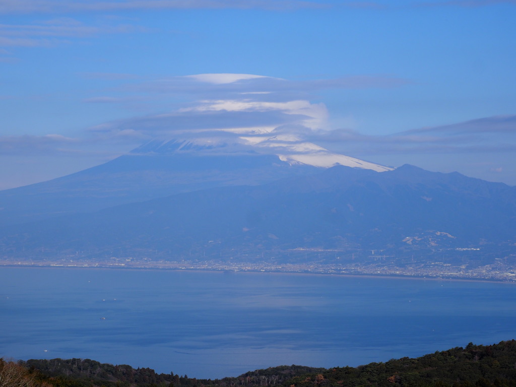 1/31 �B���R����̕x�m�R