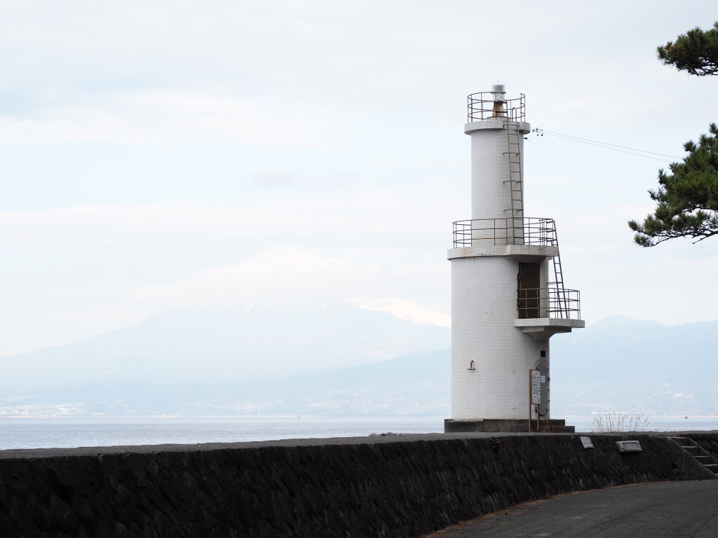 1/31 ��l������̕x�m�R