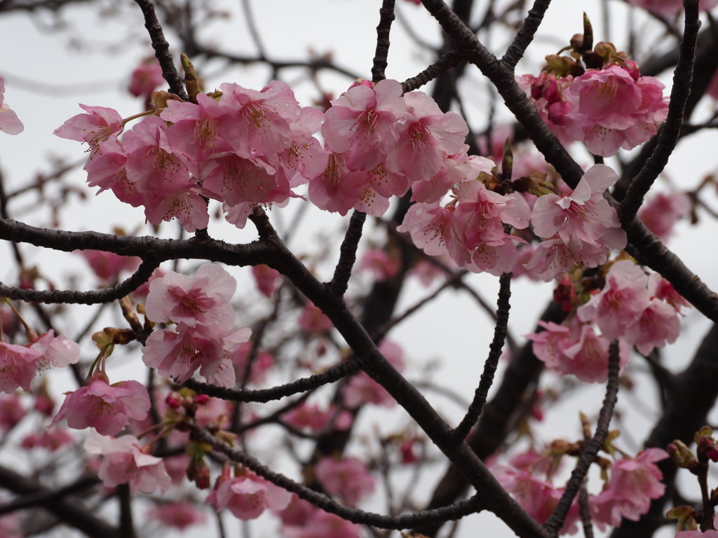 2/1 �y��� ���J(2)