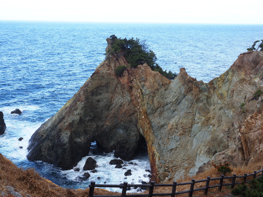 2/1 �����肩��