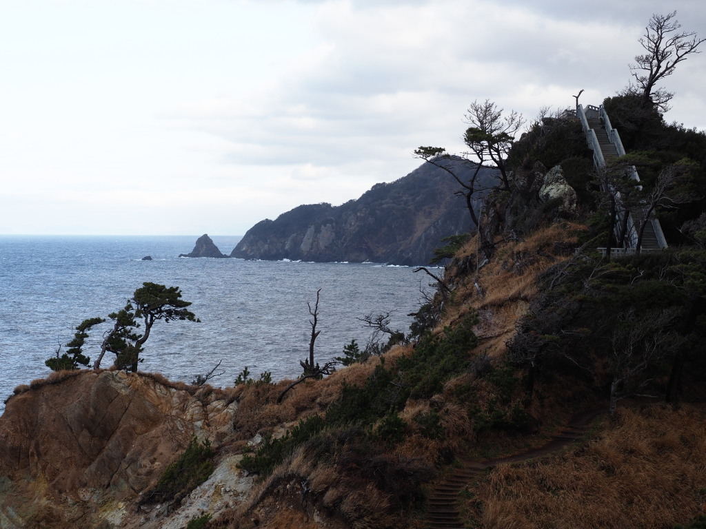 2/1 �����肩��(2)