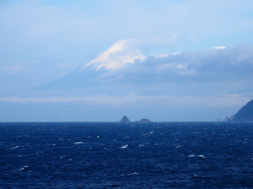 2/1 �_���̕x�m�R(2)