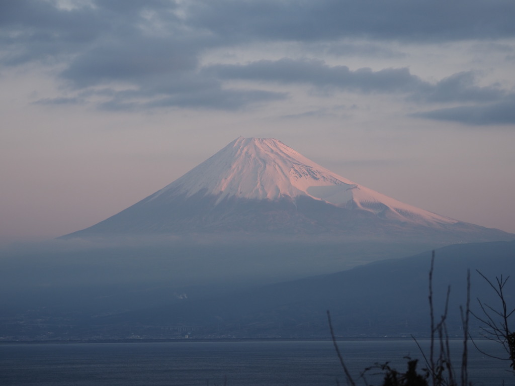 2/3 �v���Ԃ�̒��Ă�