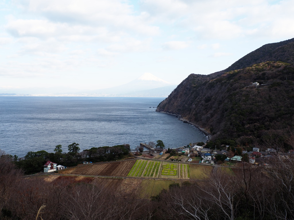 2/3 ���߂��̋u����̕x�m�R