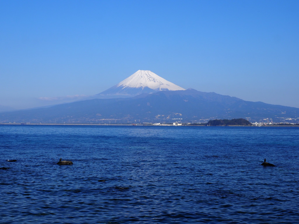 2/3 ���Y����̕x�m�R