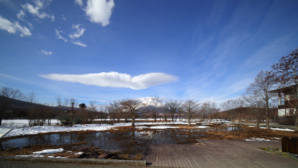 2/15 �U���̓r��(3)