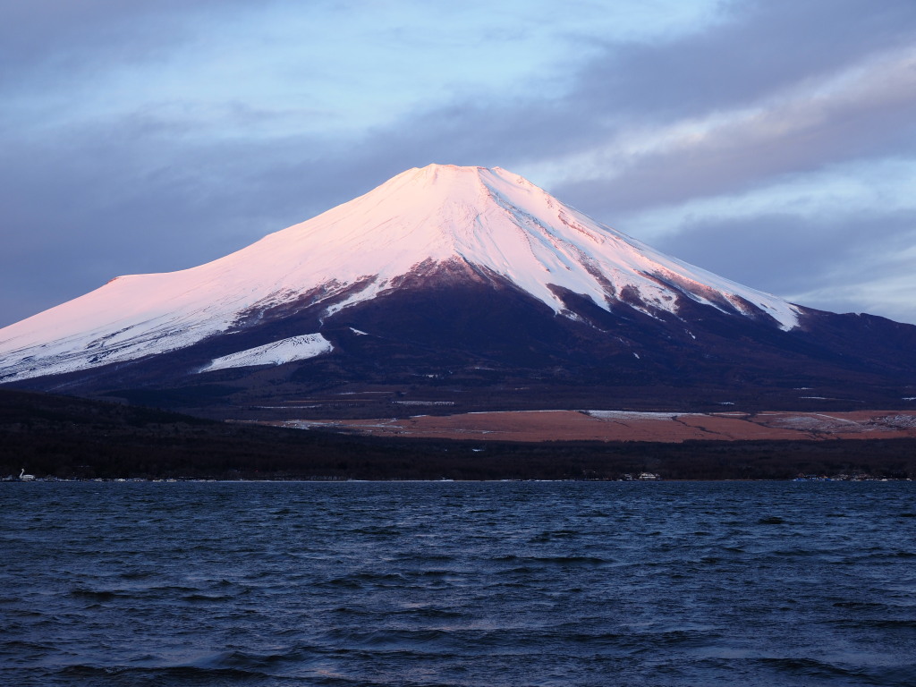 2/16 �ق�̂蒩�Ă�