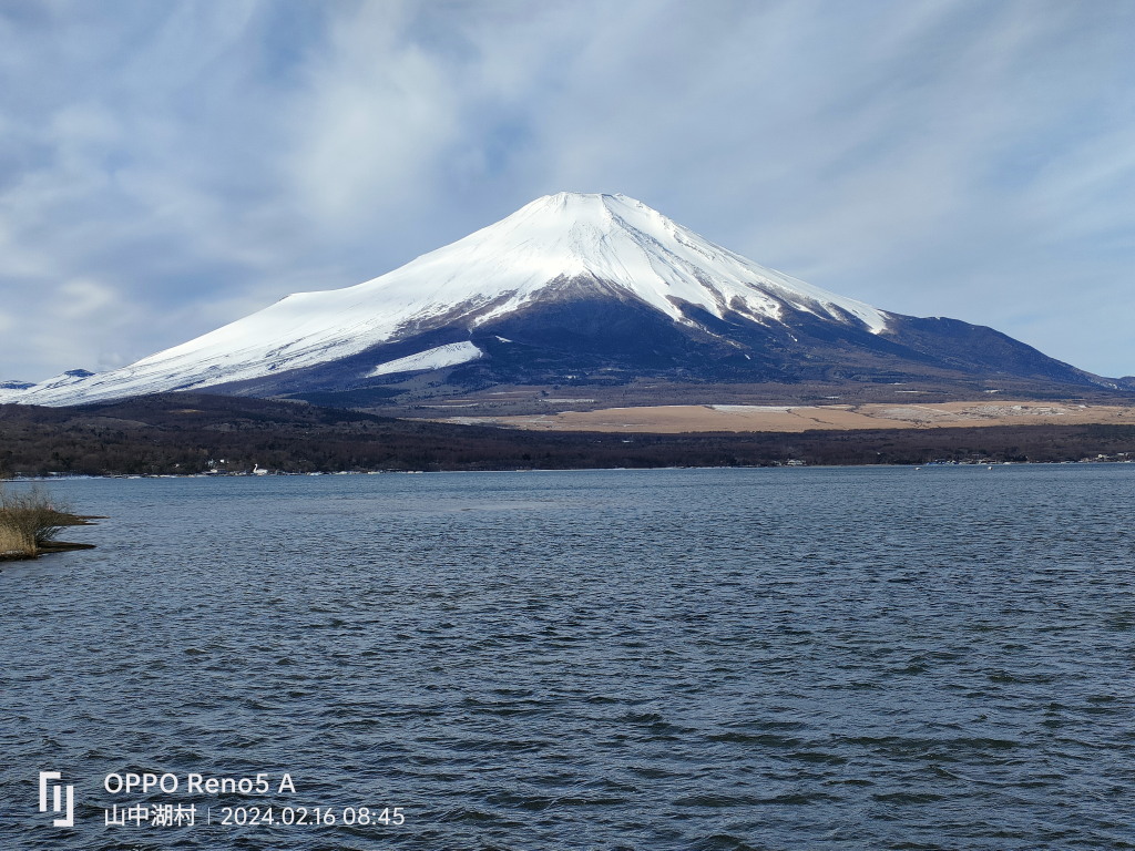 2/16 ���ꂢ�ȕx�m�R