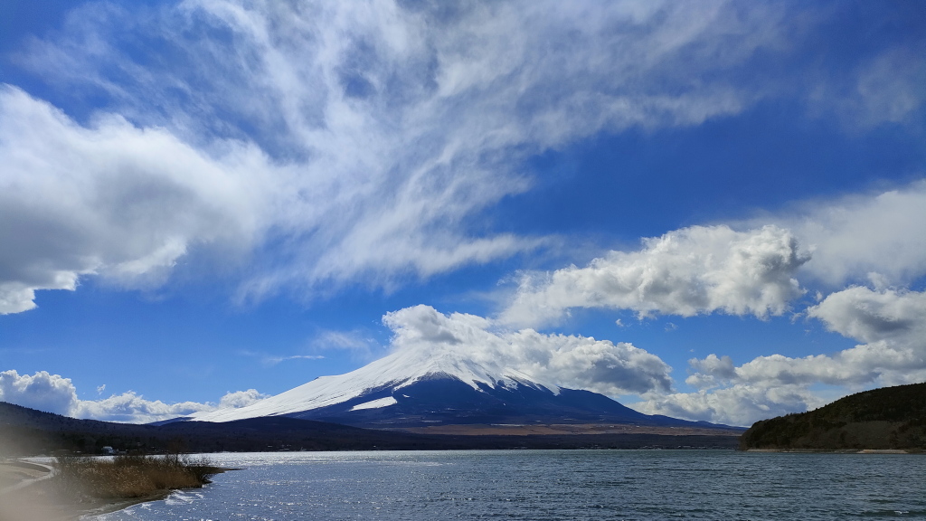 3/20 �_�ƕx�m�R