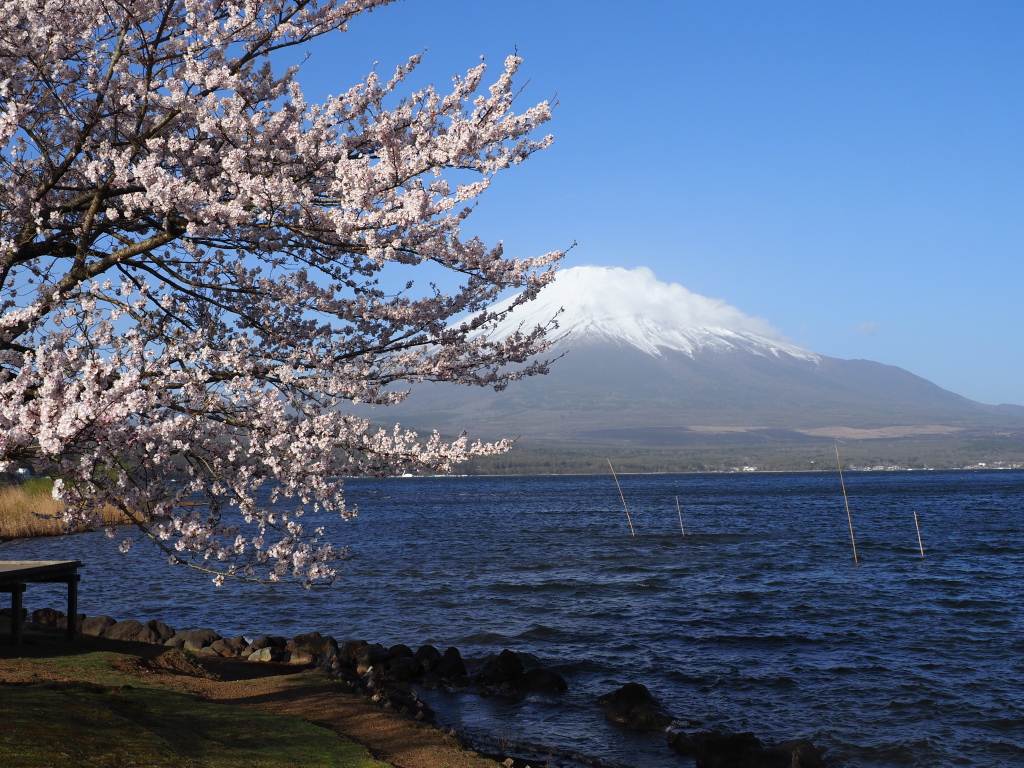 4/19 ���ƕx�m�R(5)