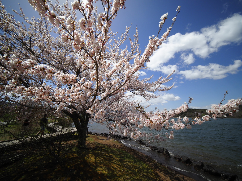 4/19 �_�ƍ��ƕx�m�R