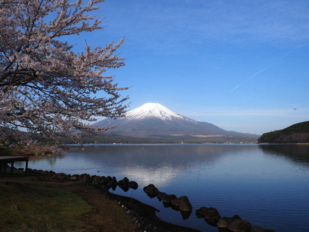 4/20 ���Ƌt���x�m