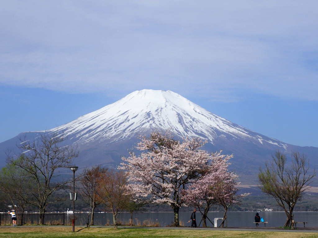 4/20 ���ƕx�m�R(2)