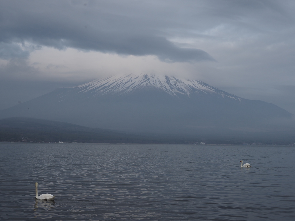 4/21 �R��������