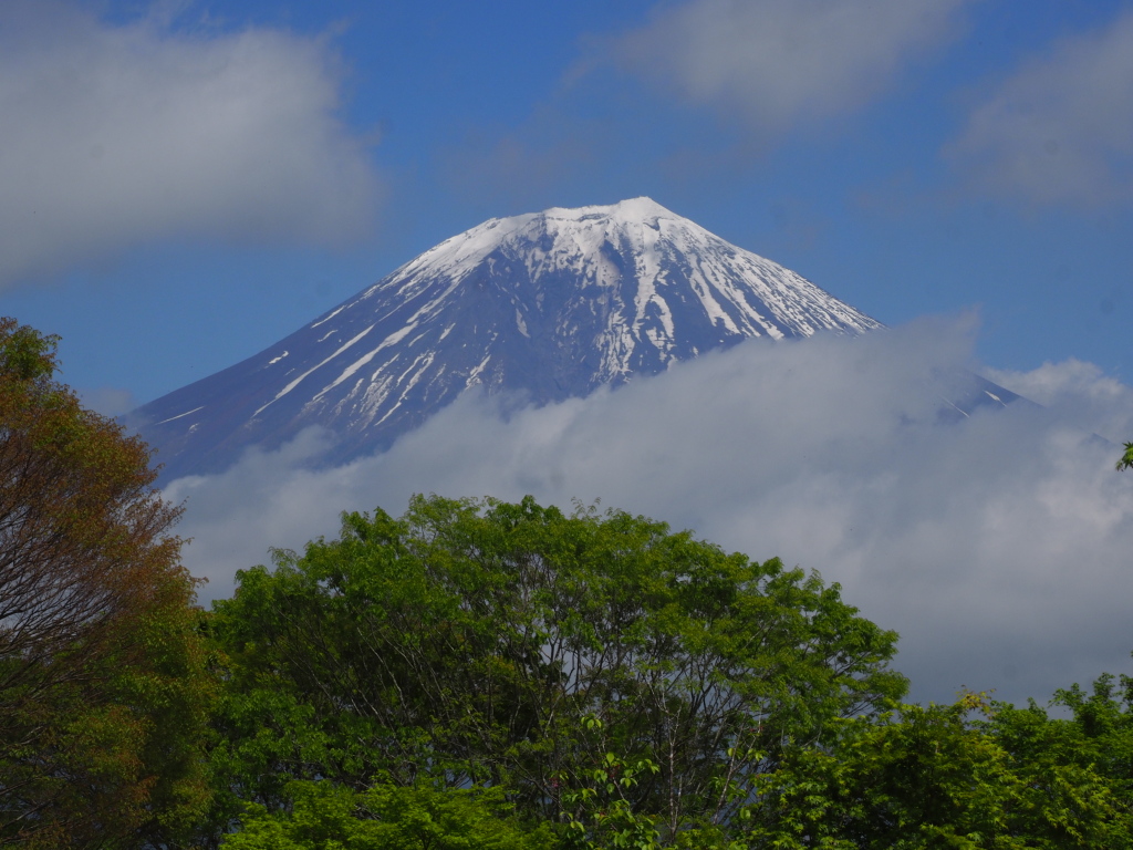 4/25 �����n�߂��x�m�R