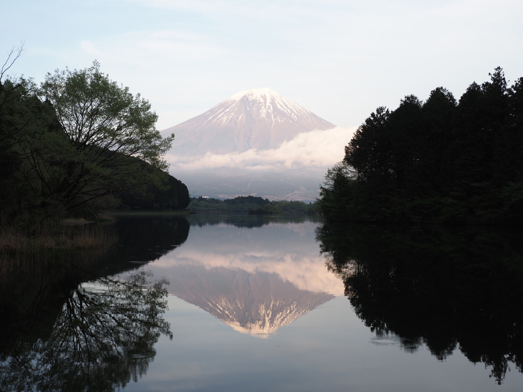 4/25 �[�Ă��̋t���x�m