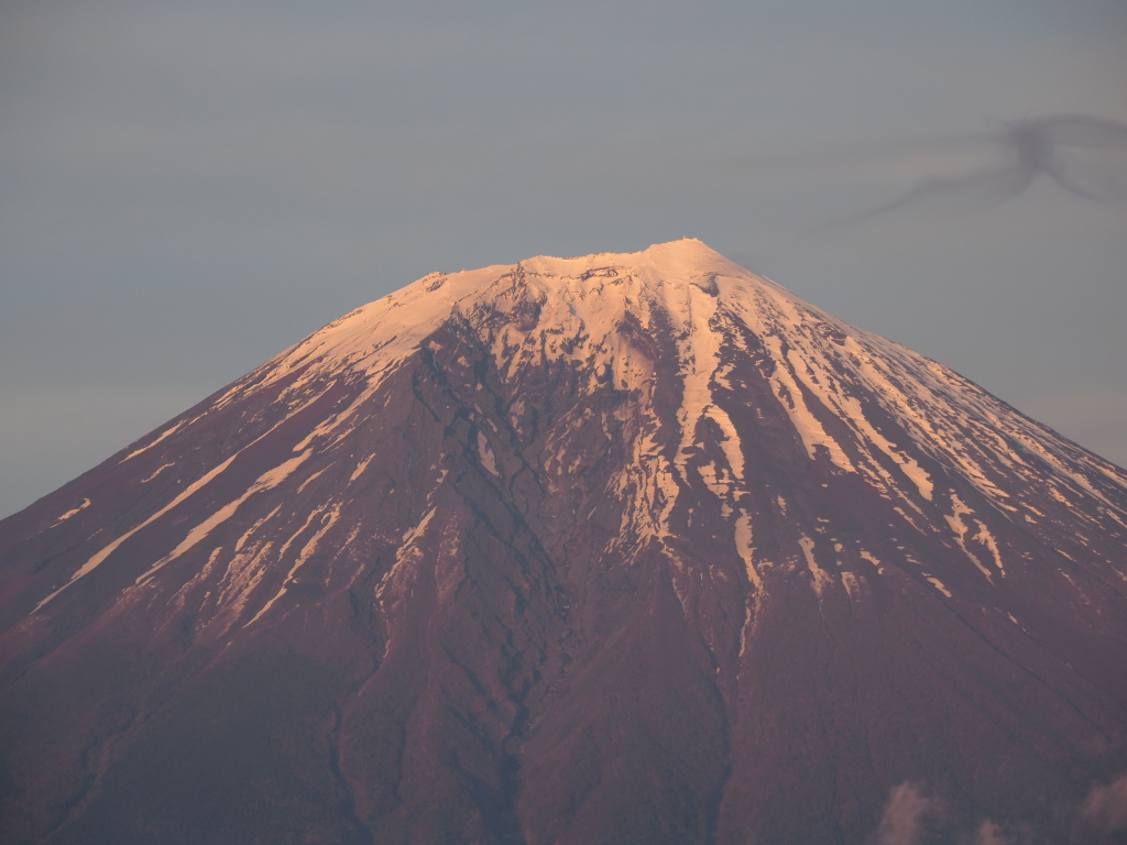 4/25 �[�Ă��̃A�b�v