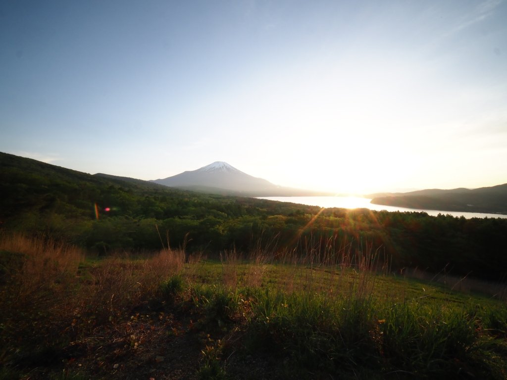 5/10 ���̓���̃��C�h