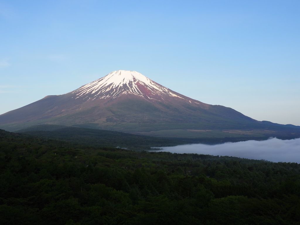 5/11 �Q�ڂ����x�m�R