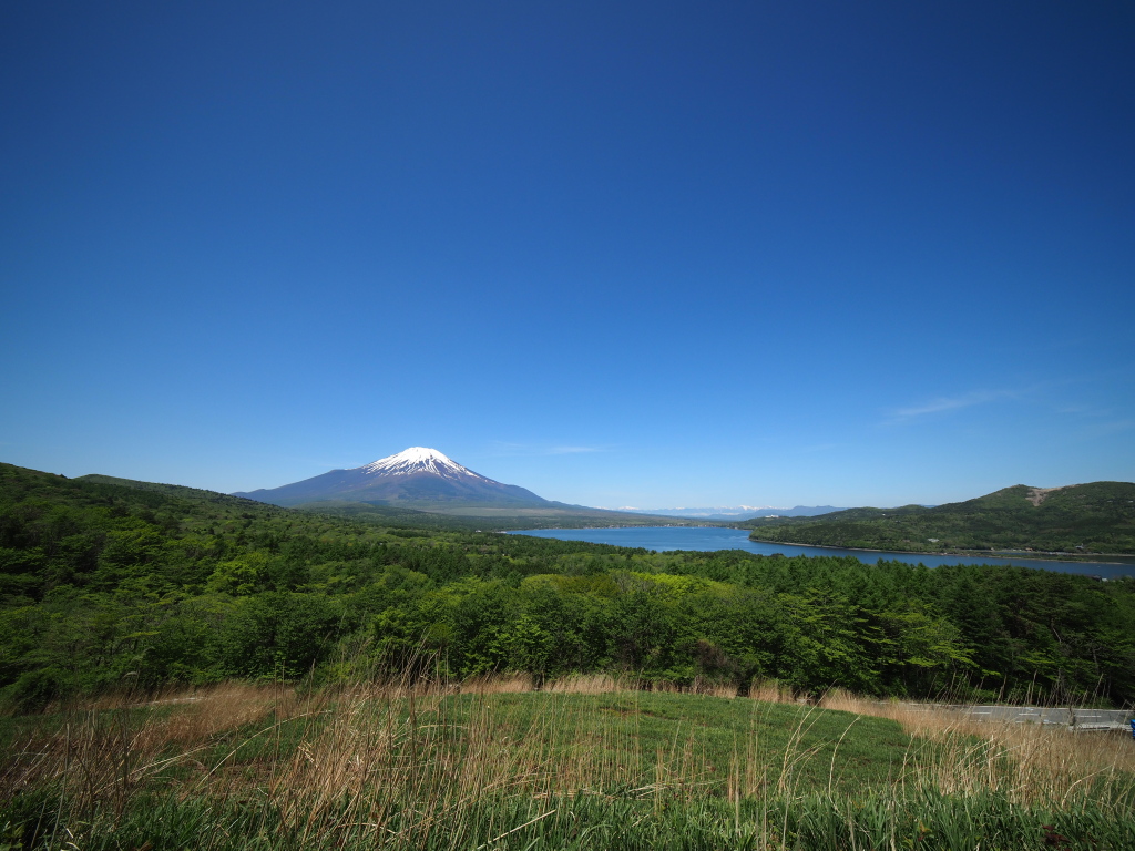 5/11 �R���΂̑S��