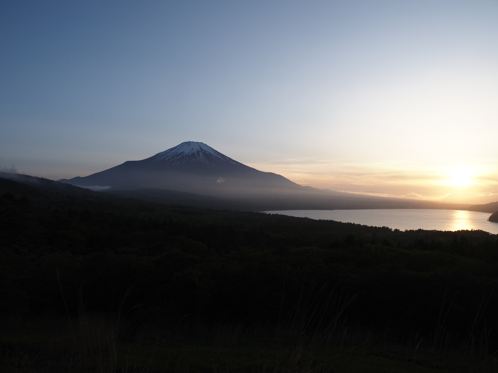 5/11 ���̓���̕x�m�R