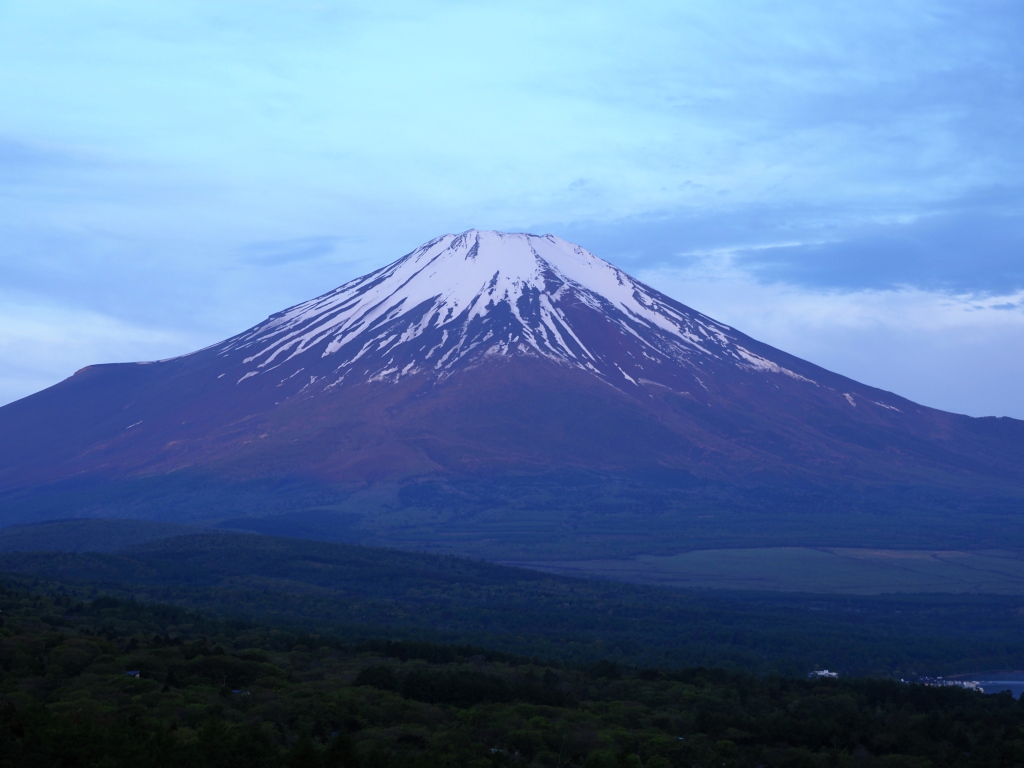 5/12 �ǂ��ɂ����Ă�