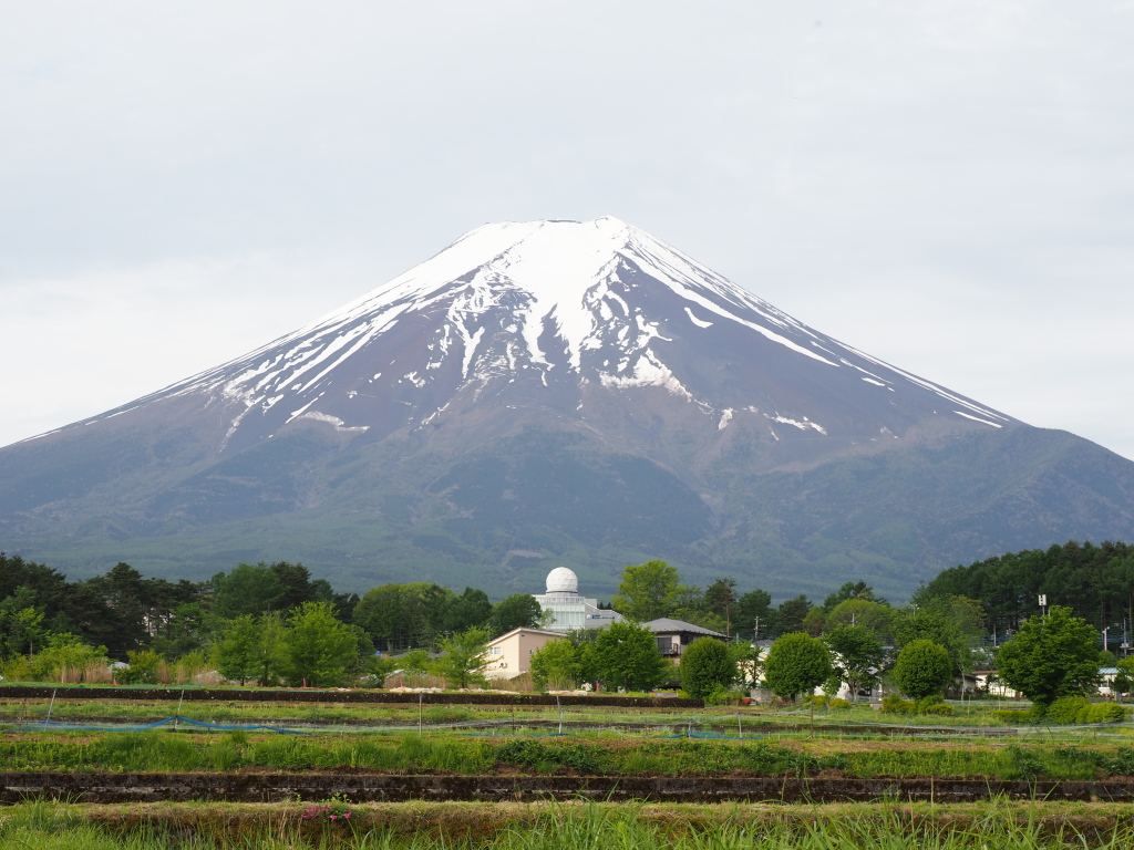 5/12 �h�[���ƕx�m�R