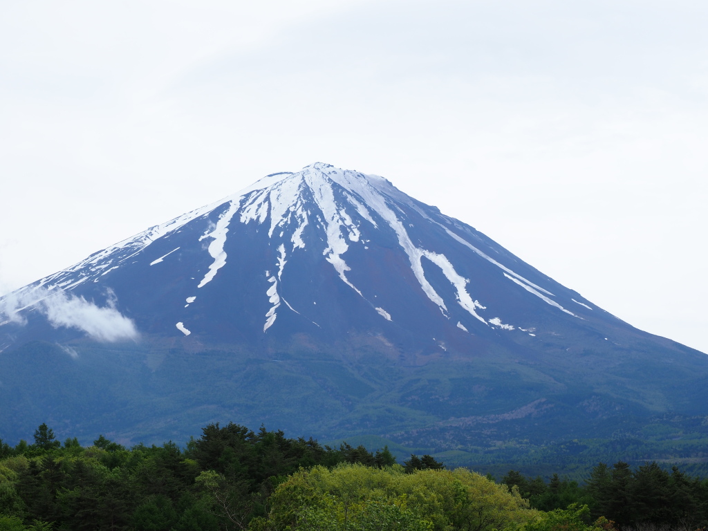 5/12 �򂩂�̕x�m�R