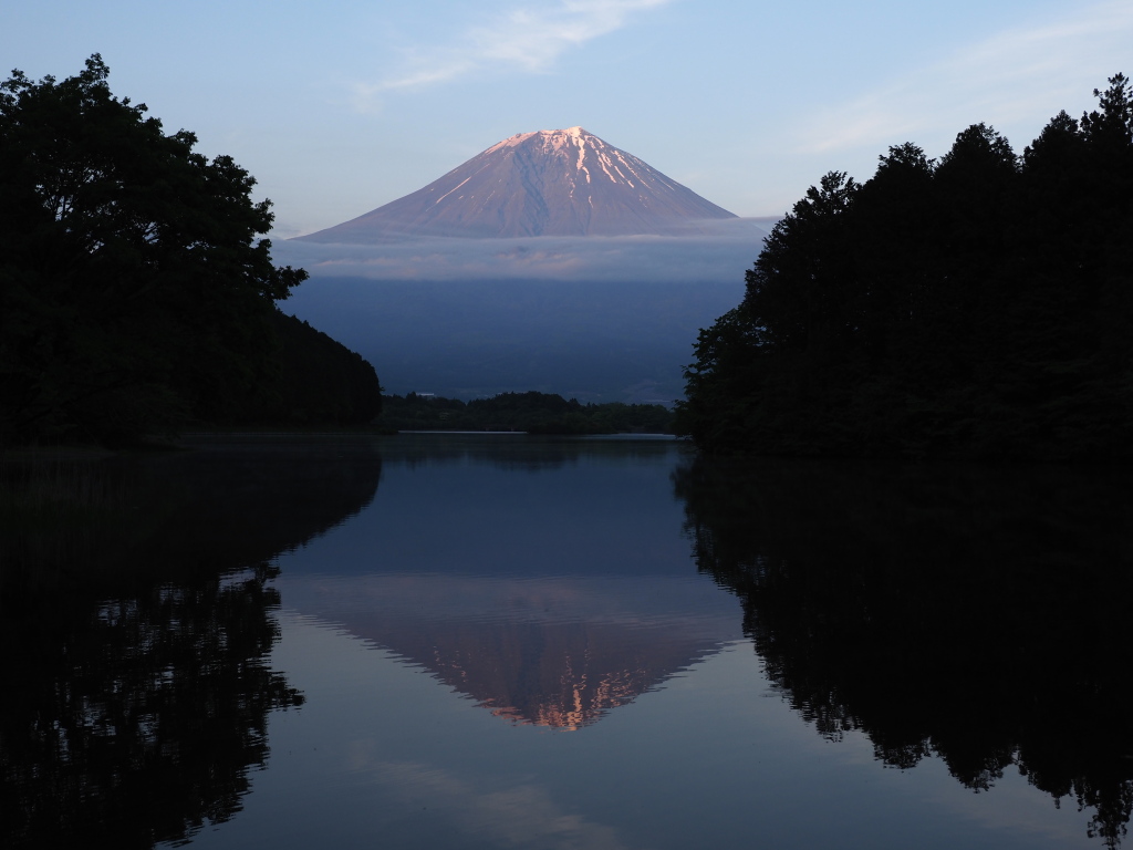 5/14 �[�Ă��̋t���x�m