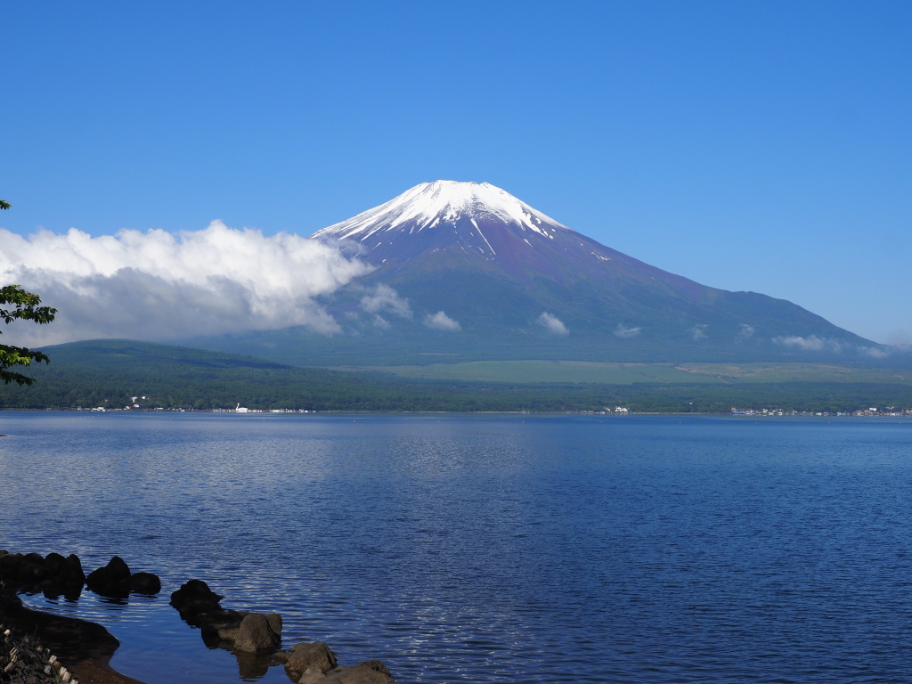 6/5 ��Ő^����