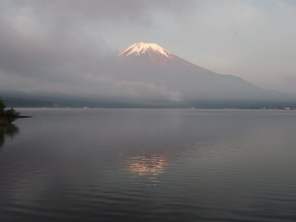 6/6 �_�̒��̒��Ă�