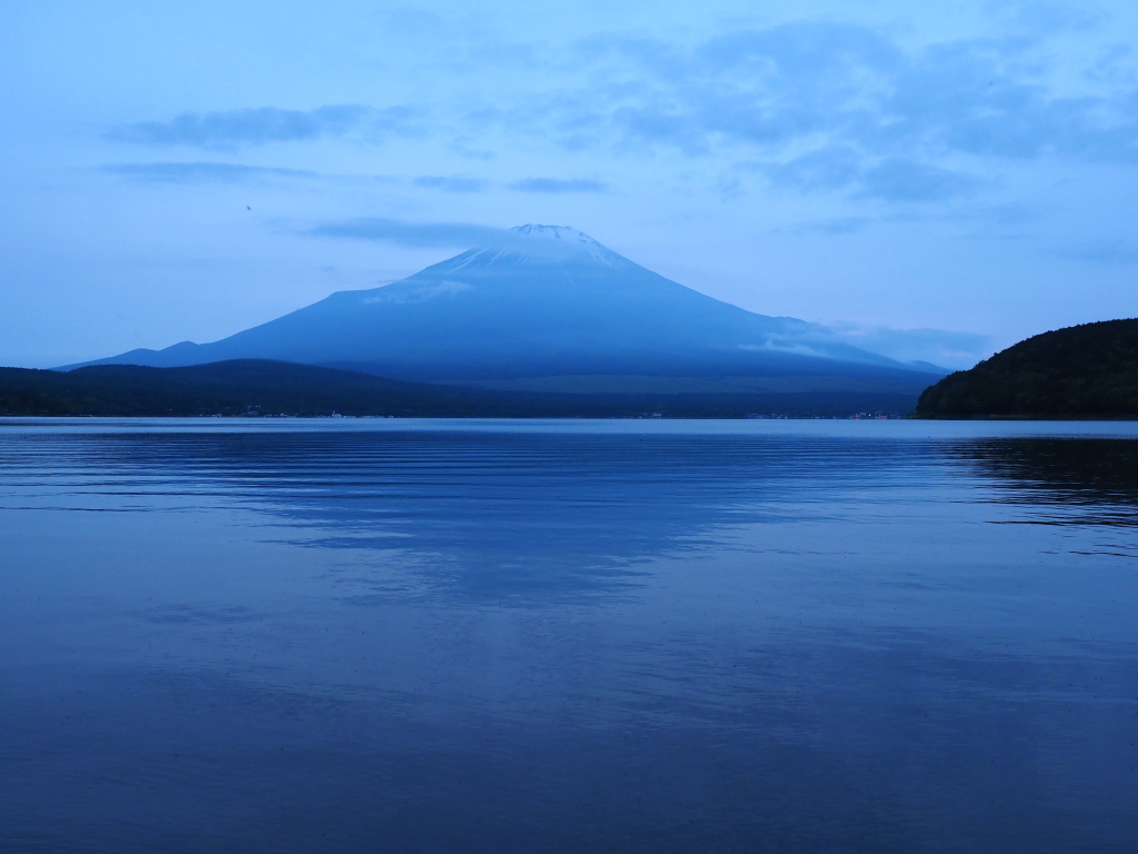 6/6 �Ԍ��̂Ȃ��x�m�R