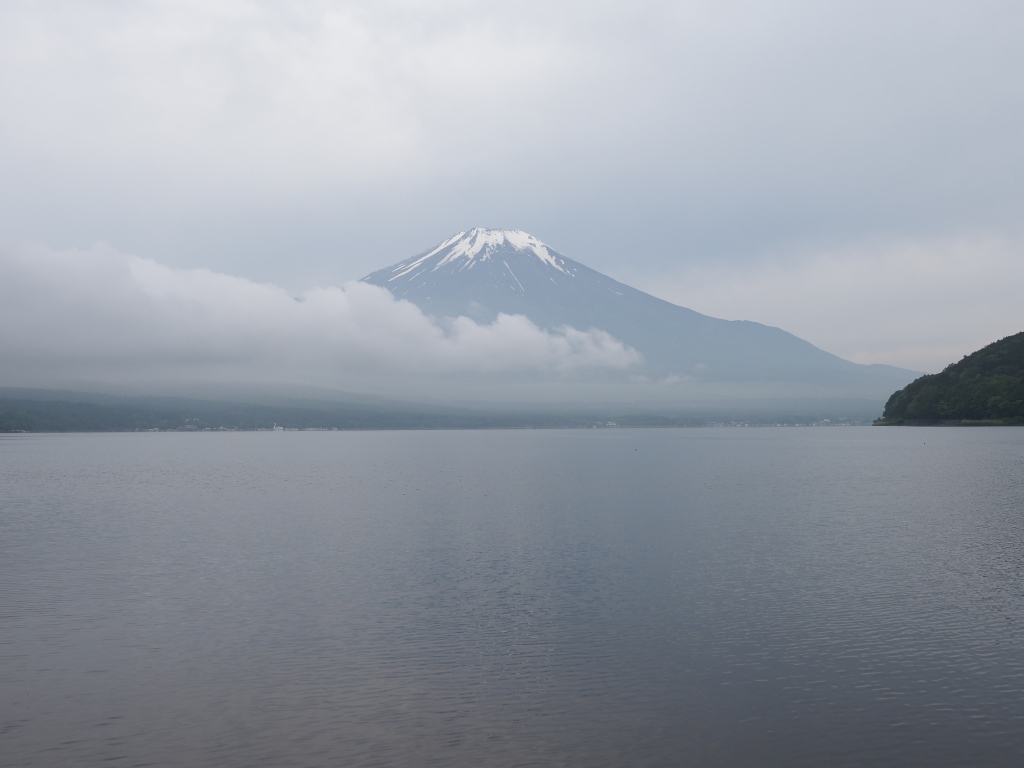 6/7 ��u�̕x�m�R