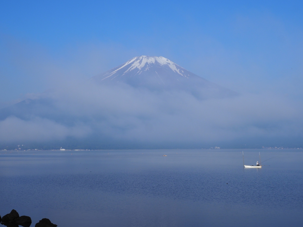 6/8 �Z�����؂��