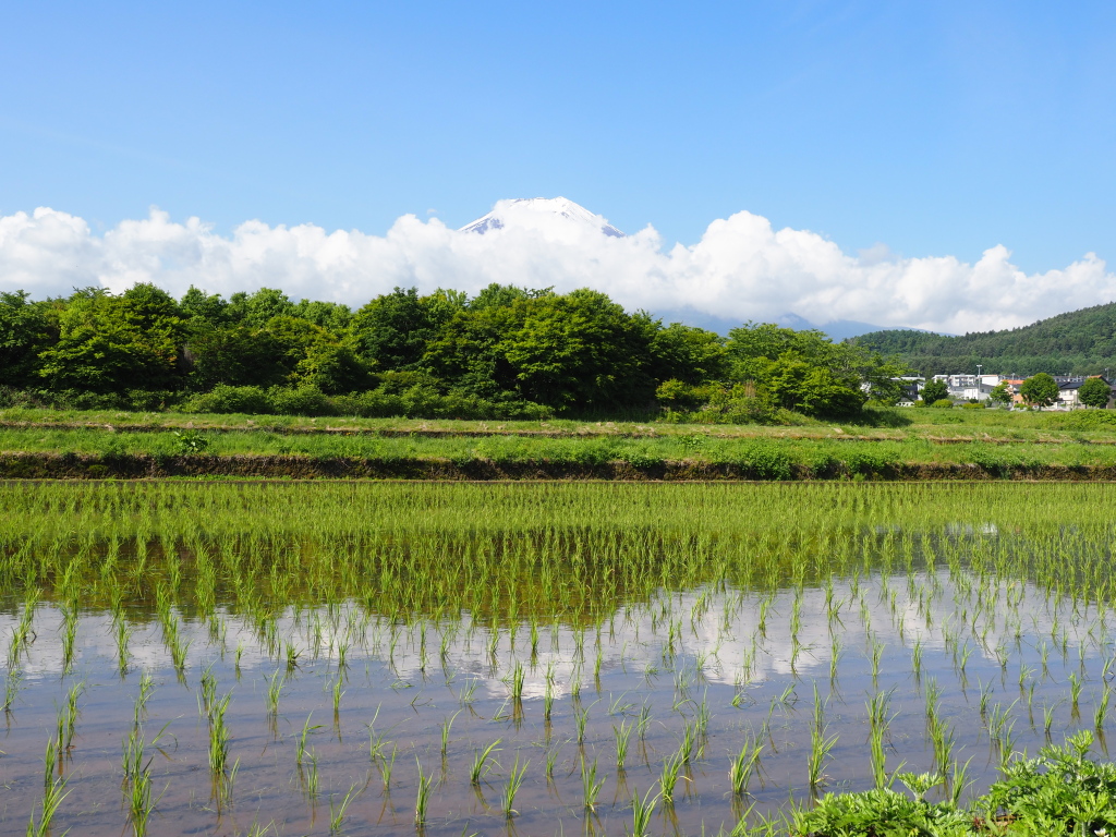 6/8 �c�A���I��