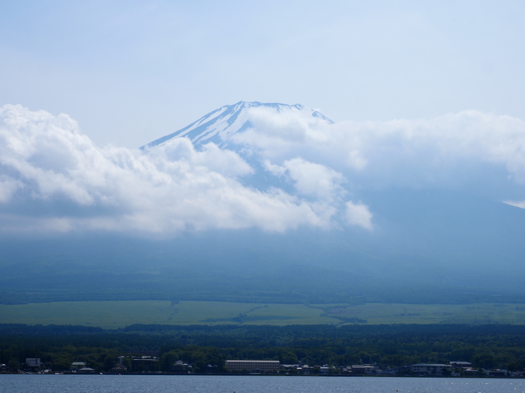 6/8 ���r����̕x�m�R