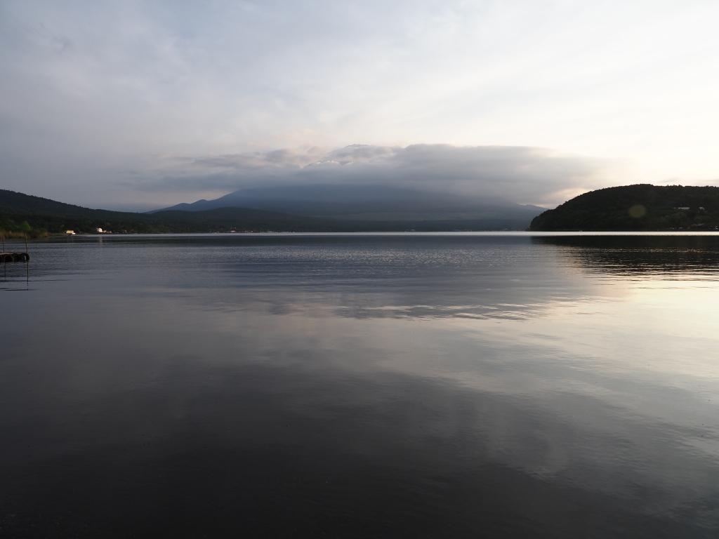 6/8 ���삩��̗[�Ă�