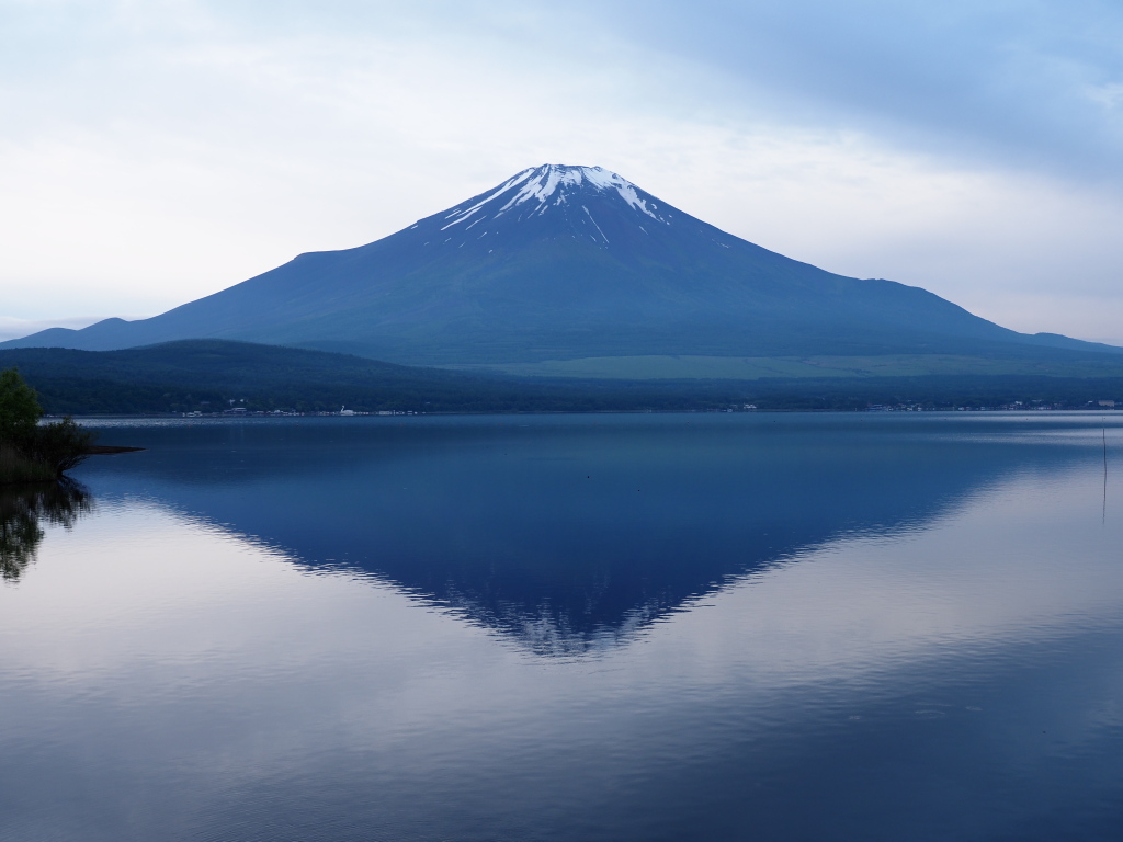 6/9 �� ���